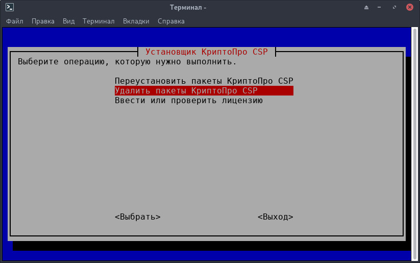 csp-14.jpg